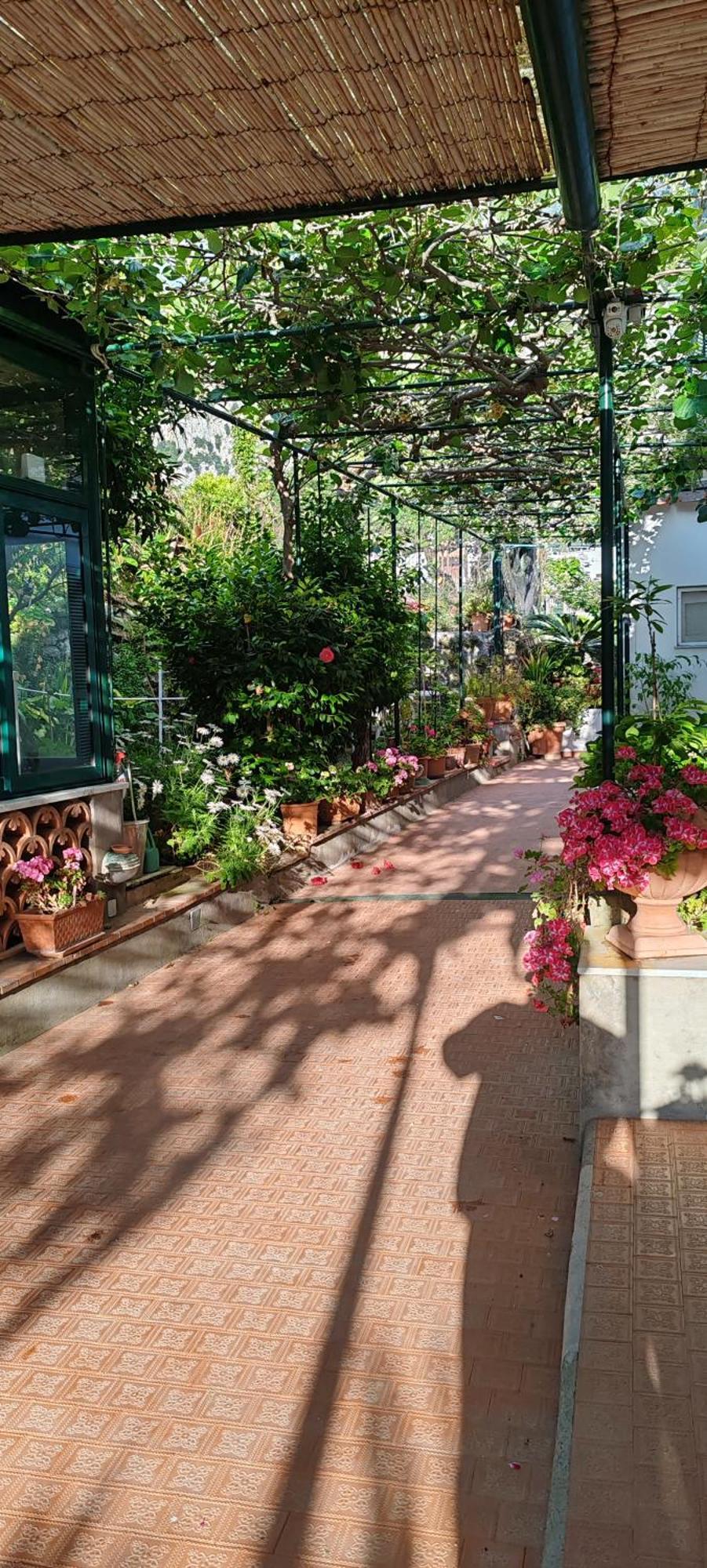 Villa Dei Fiori B&B Капри Экстерьер фото