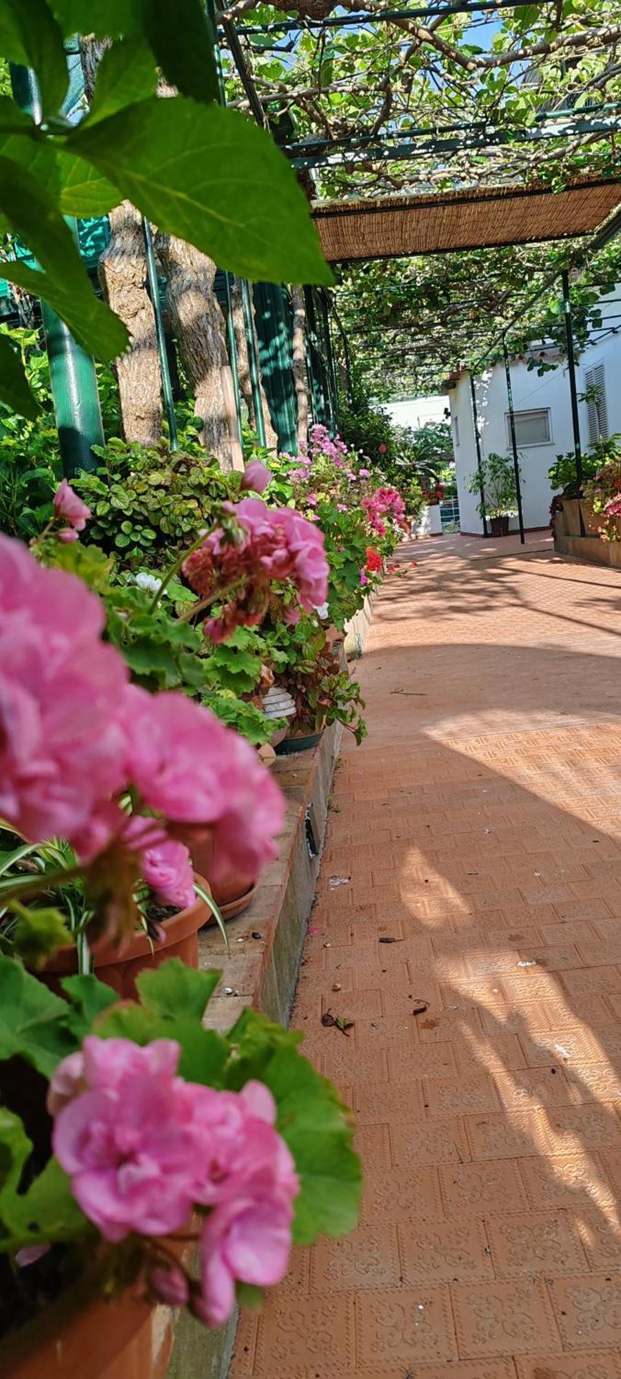 Villa Dei Fiori B&B Капри Экстерьер фото